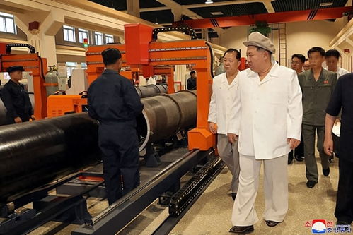 朝鮮火箭彈齊射技術解析 能否炸平首爾的數據與科學視角